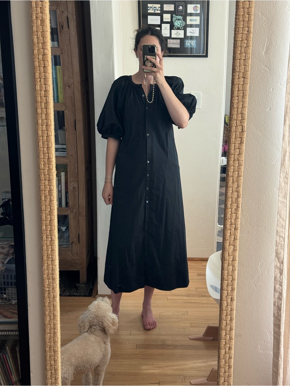 Staud Vincent maxi dress